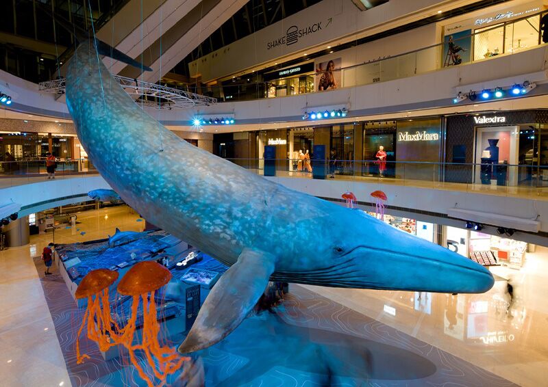 海洋生物蓝鲸